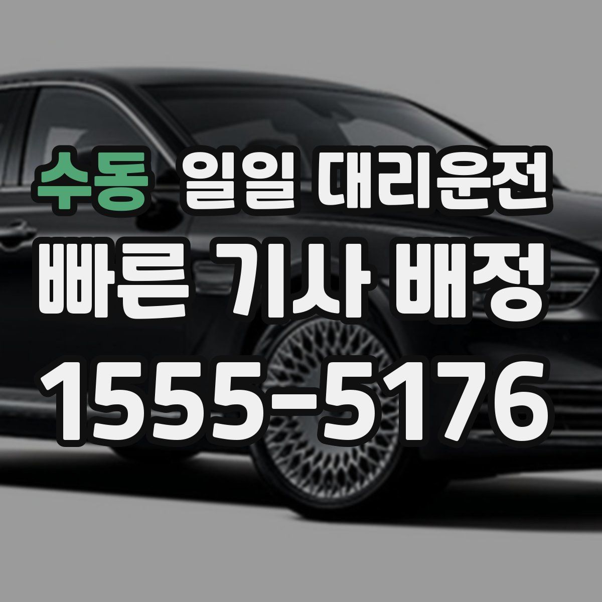수동 일일 대리운전