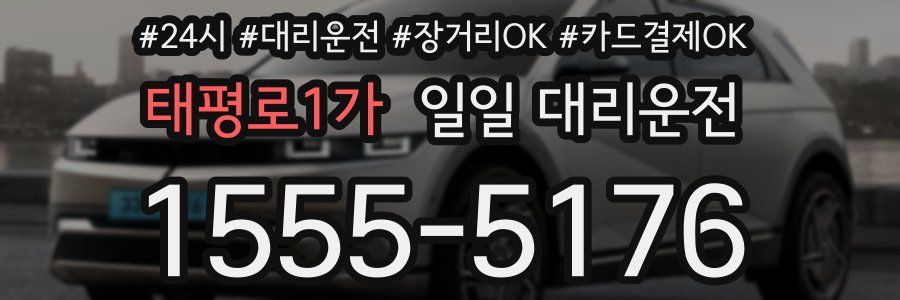 태평로1가 일일 대리운전