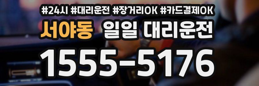 서야동 일일 대리운전
