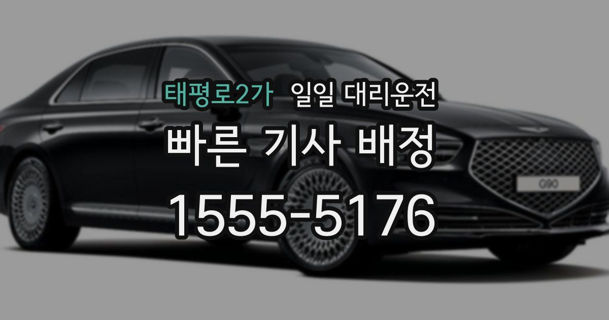 태평로2가 일일 대리운전