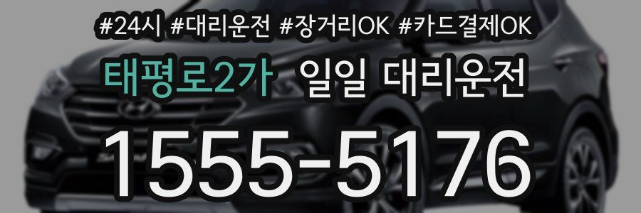 태평로2가 일일 대리운전