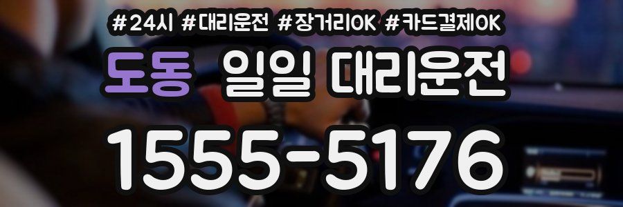 도동 일일 대리운전