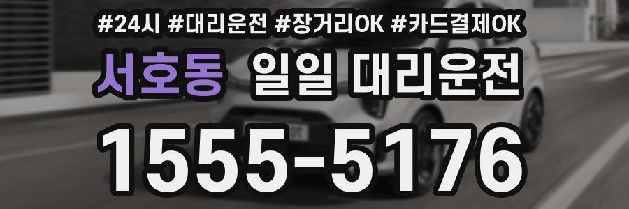 서호동 일일 대리운전