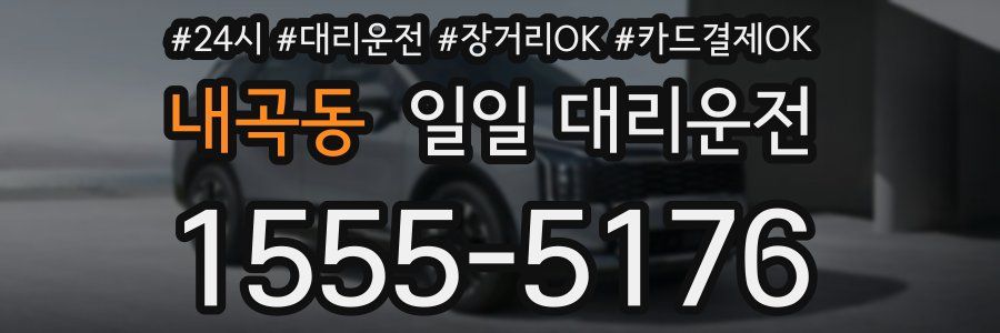 내곡동 일일 대리운전