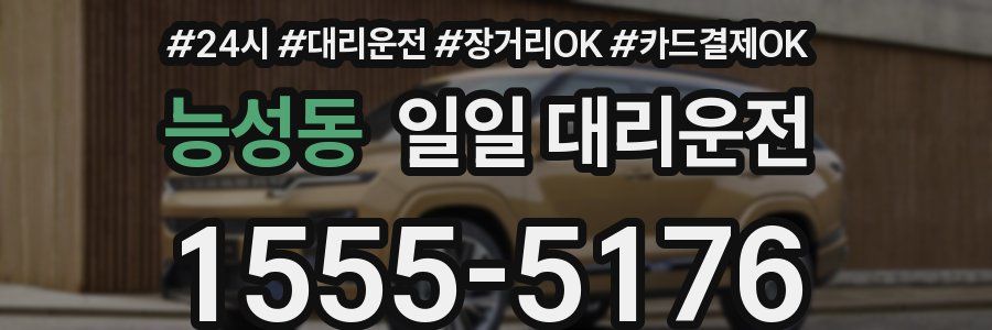 능성동 일일 대리운전