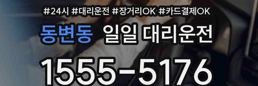동변동 일일 대리운전