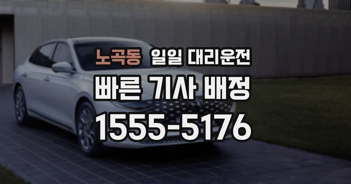 노곡동 일일 대리운전