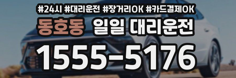 동호동 일일 대리운전