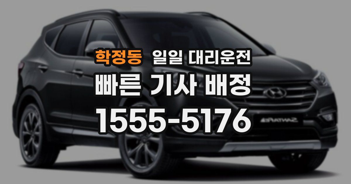 학정동 일일 대리운전
