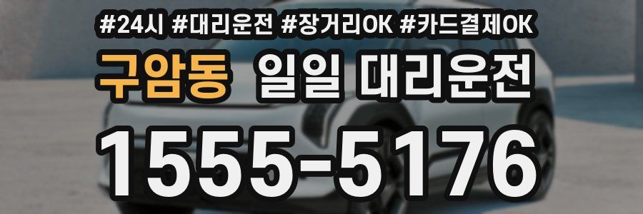 구암동 일일 대리운전