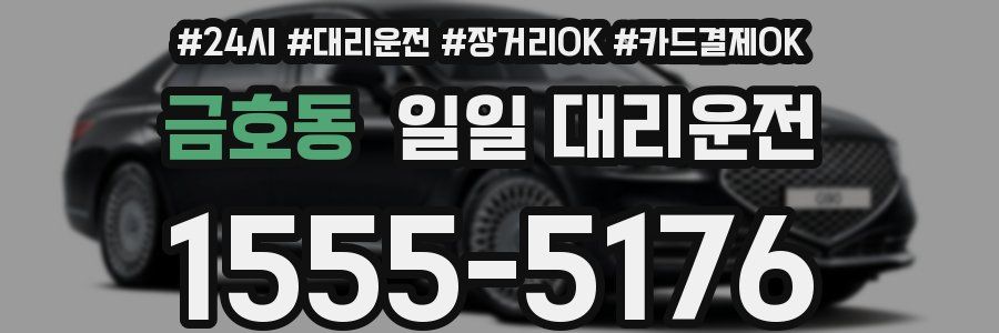 금호동 일일 대리운전