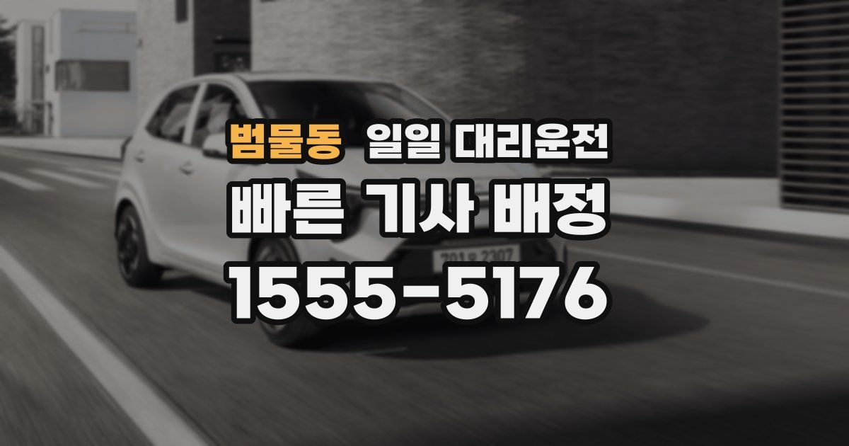 범물동 일일 대리운전