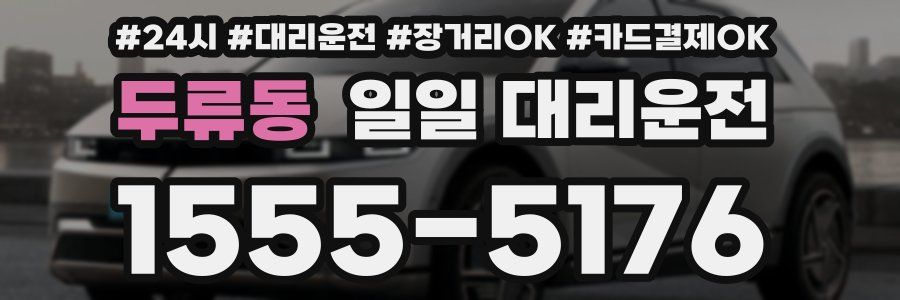 두류동 일일 대리운전
