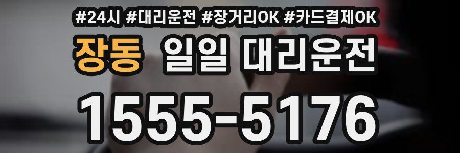 장동 일일 대리운전