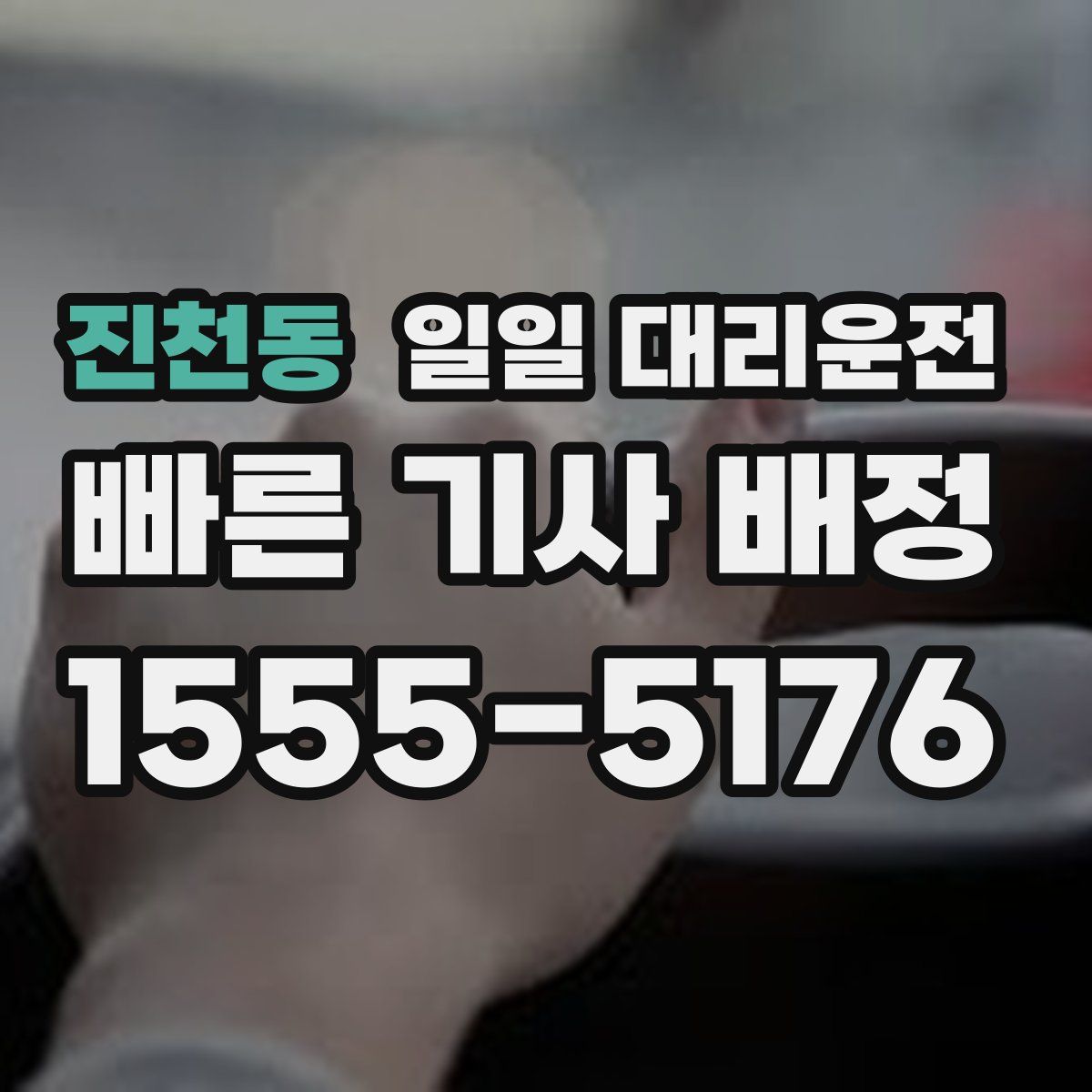 진천동 일일 대리운전