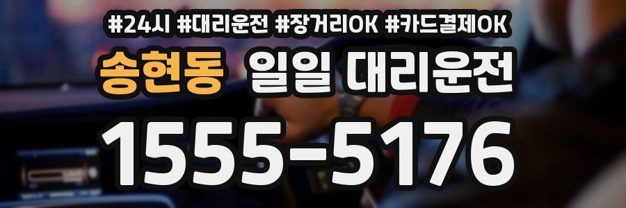 송현동 일일 대리운전