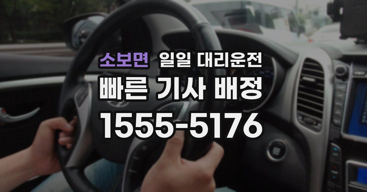 소보면 일일 대리운전