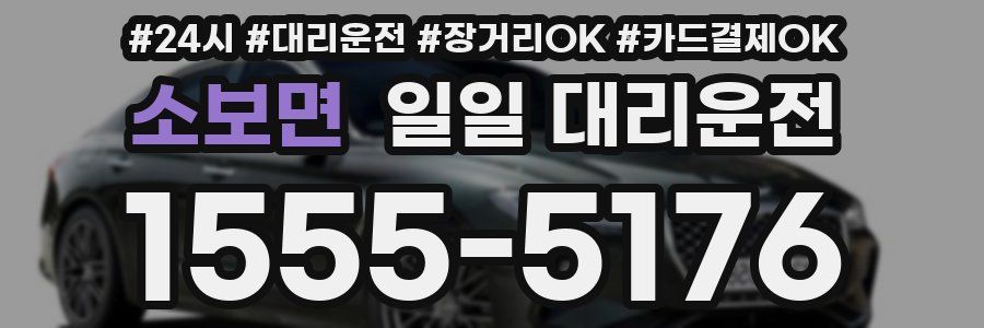 소보면 일일 대리운전