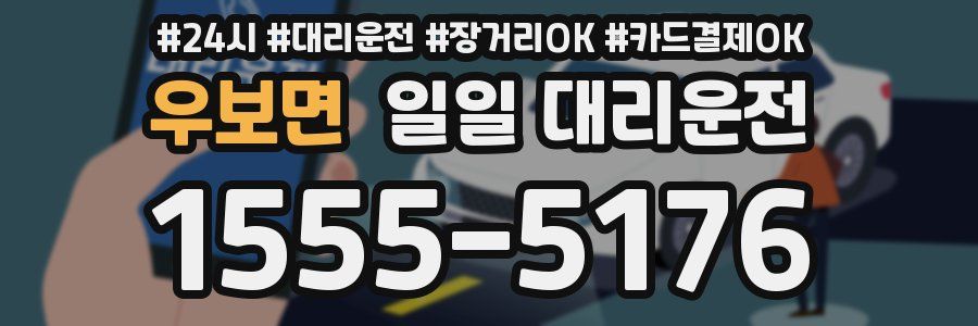 우보면 일일 대리운전