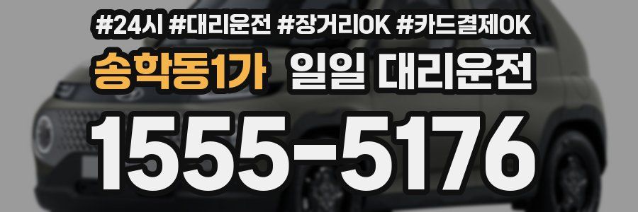 송학동1가 일일 대리운전