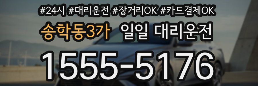송학동3가 일일 대리운전