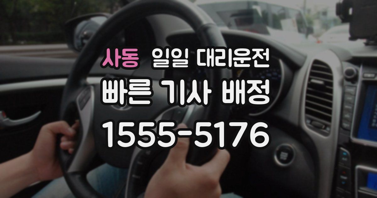 사동 일일 대리운전