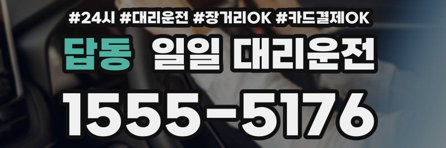 답동 일일 대리운전