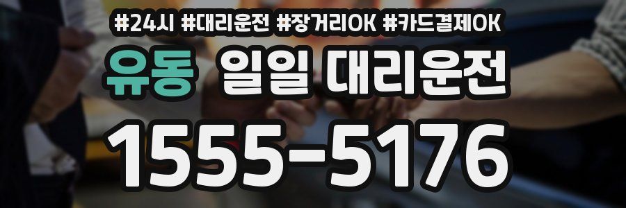 유동 일일 대리운전