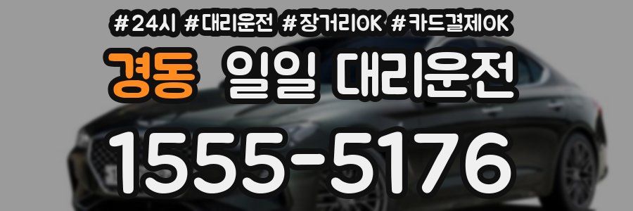경동 일일 대리운전