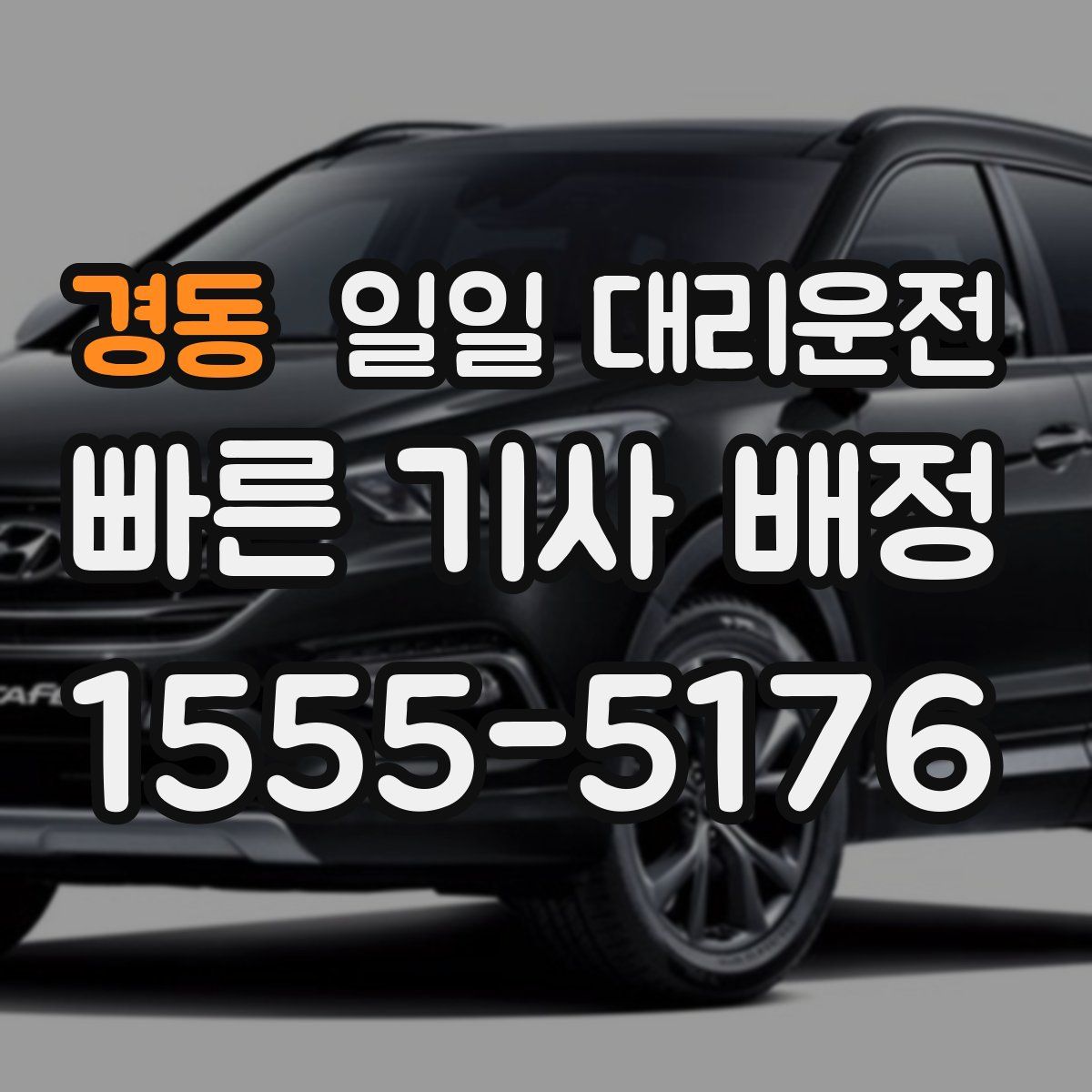 경동 일일 대리운전