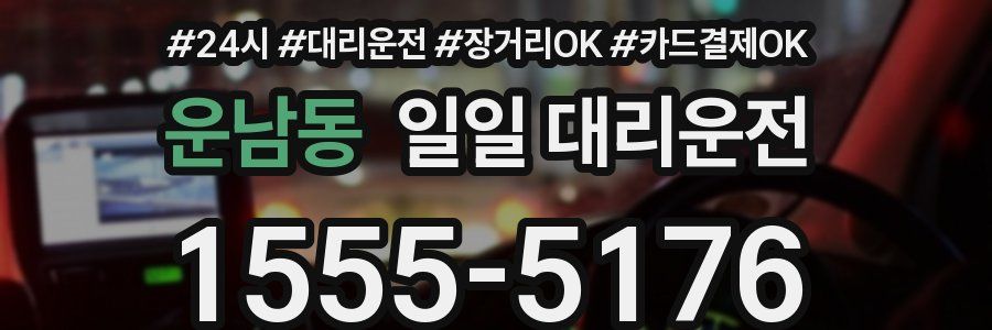 운남동 일일 대리운전