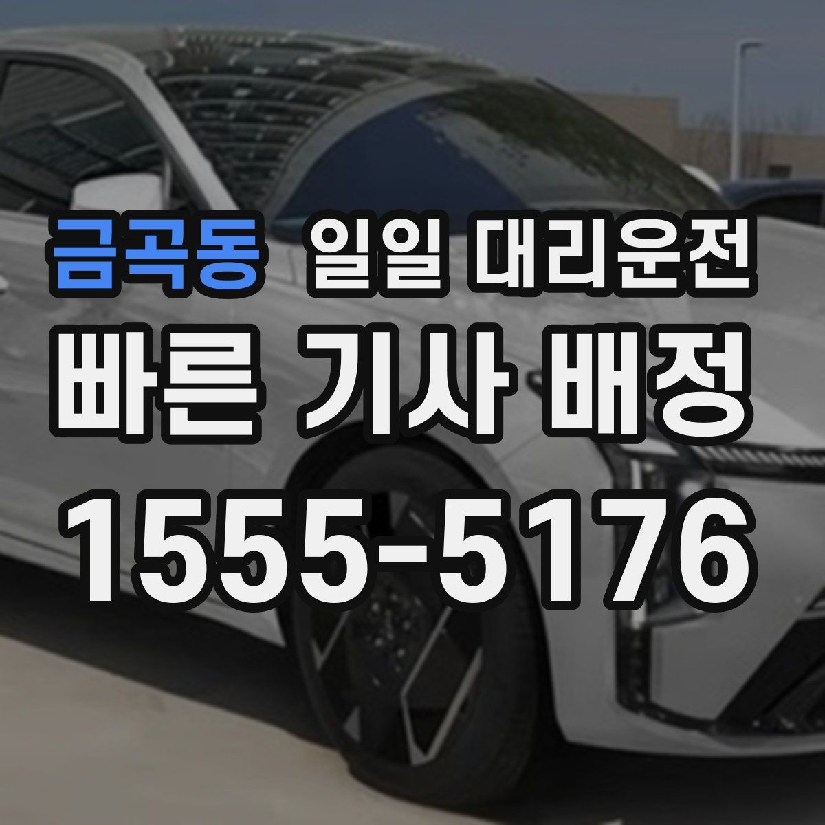 금곡동 일일 대리운전