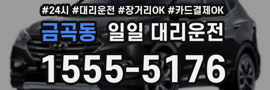금곡동 일일 대리운전