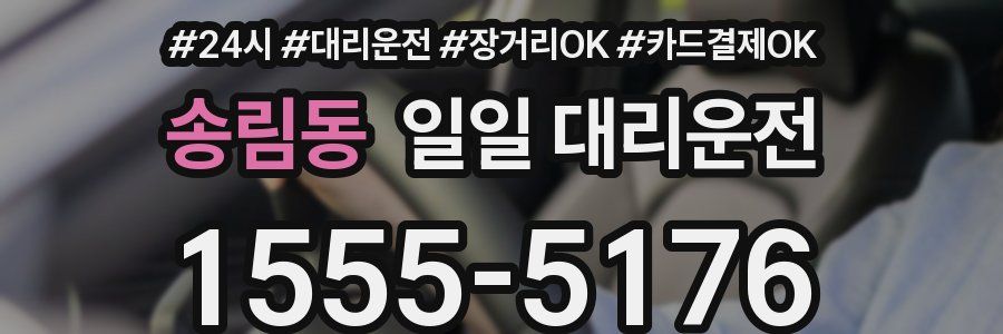 송림동 일일 대리운전