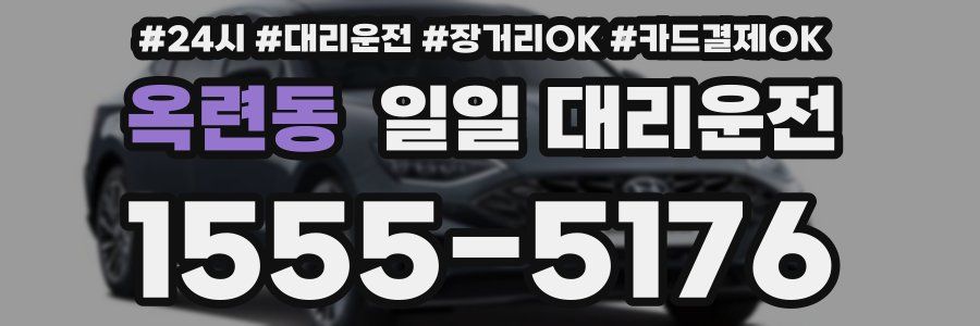 옥련동 일일 대리운전