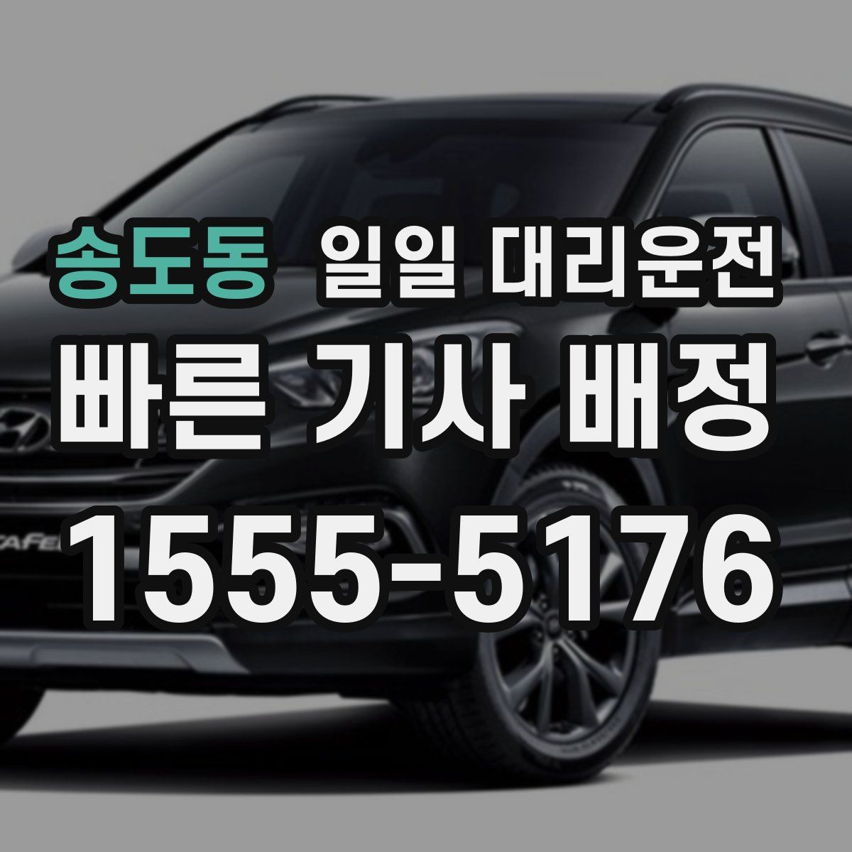 송도동 일일 대리운전