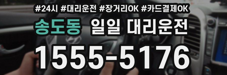 송도동 일일 대리운전
