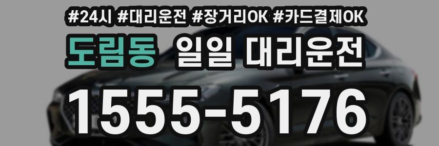 도림동 일일 대리운전