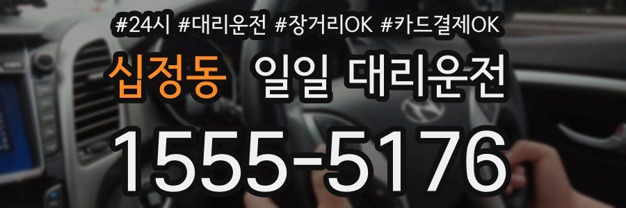십정동 일일 대리운전