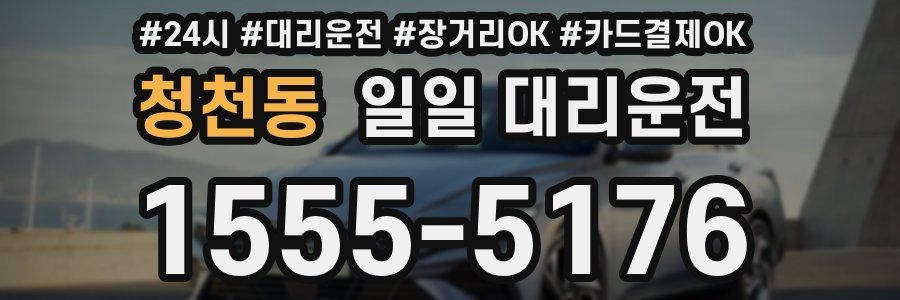 청천동 일일 대리운전
