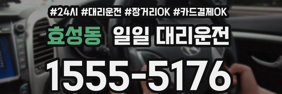 효성동 일일 대리운전