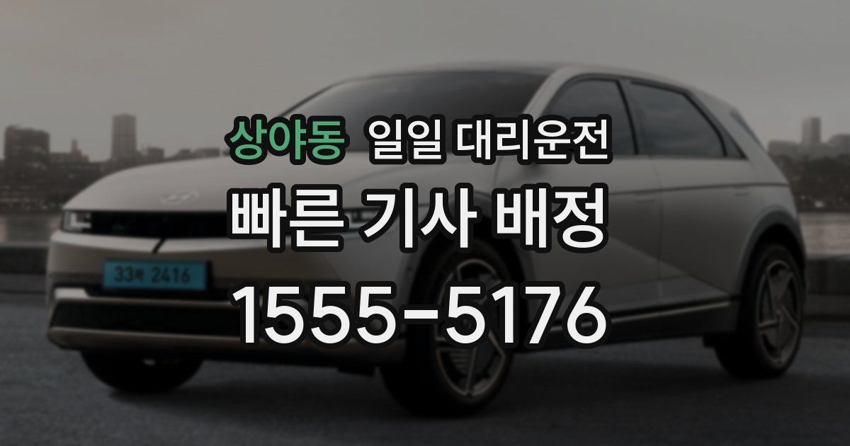 상야동 일일 대리운전