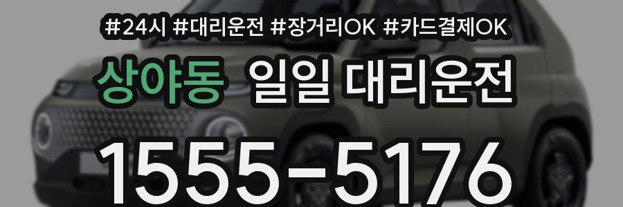 상야동 일일 대리운전