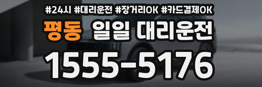 평동 일일 대리운전