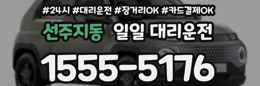 선주지동 일일 대리운전