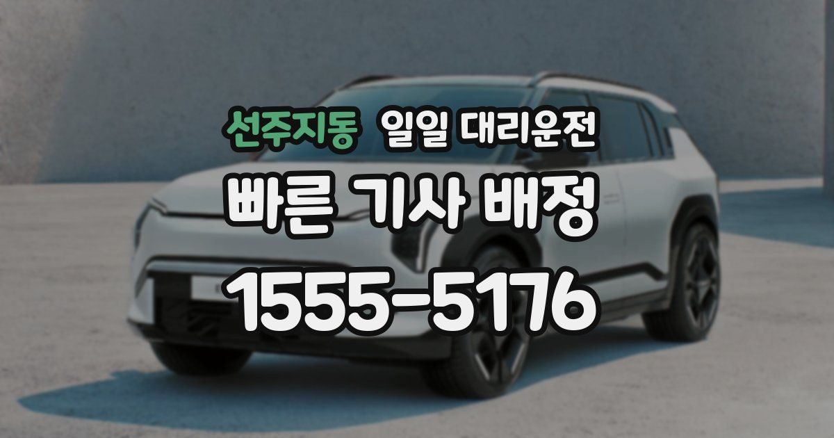 선주지동 일일 대리운전