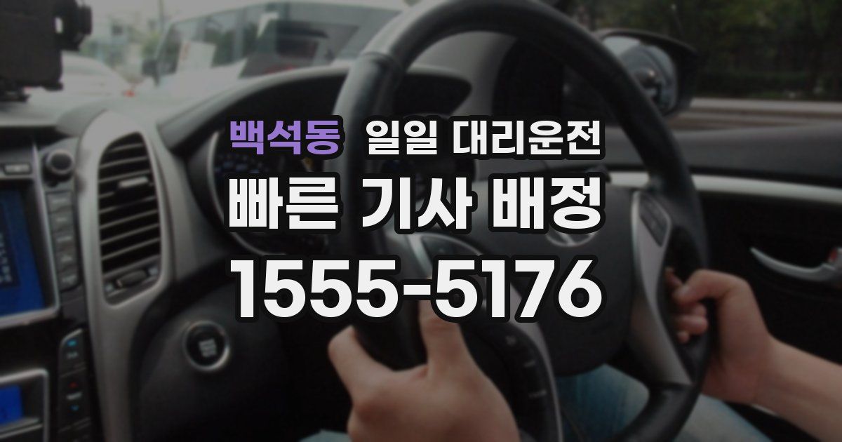 백석동 일일 대리운전