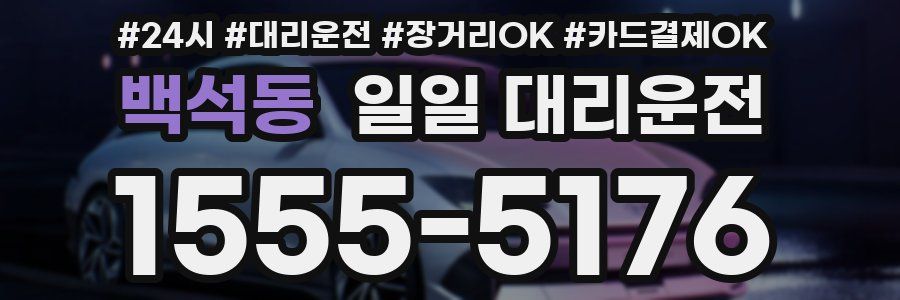 백석동 일일 대리운전