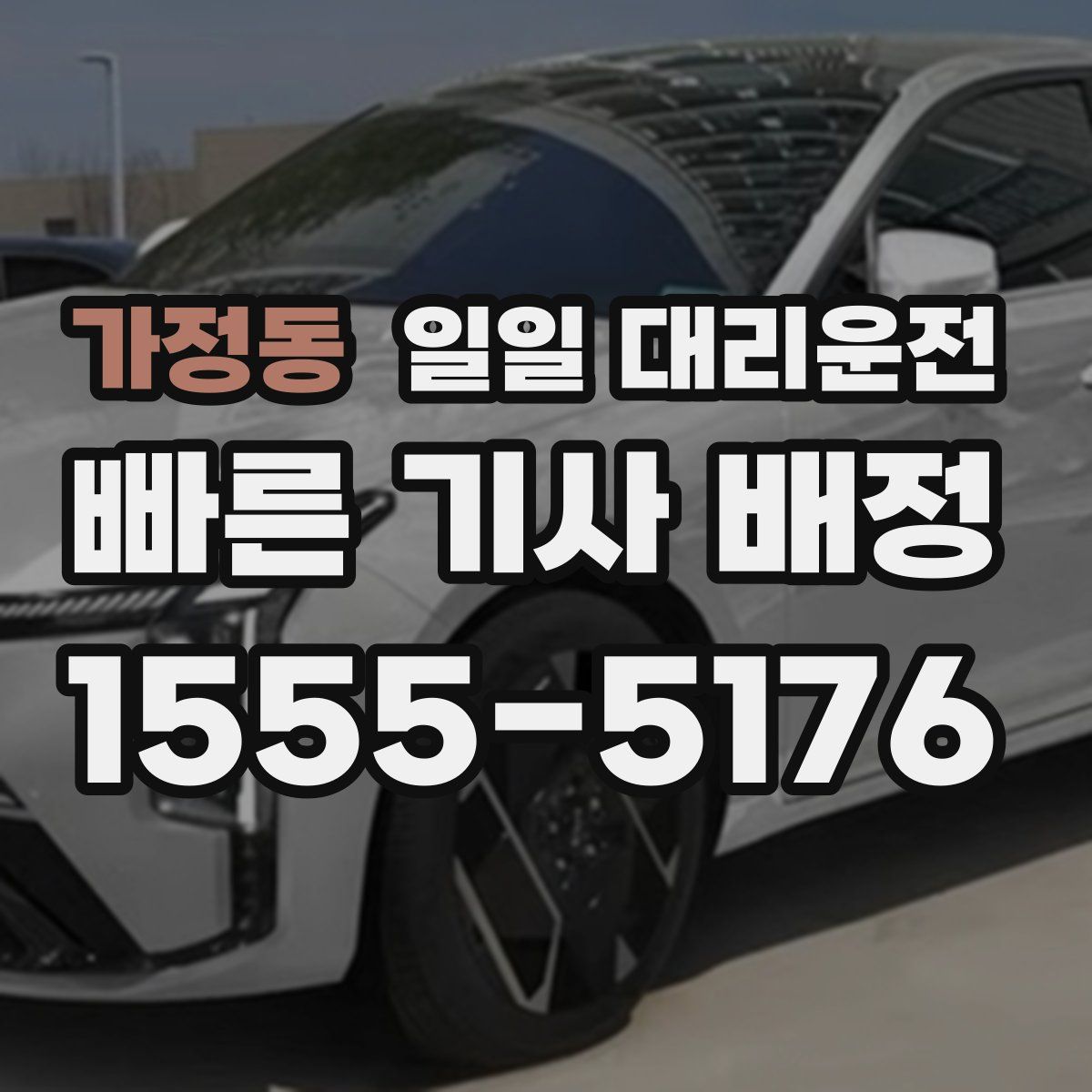 가정동 일일 대리운전