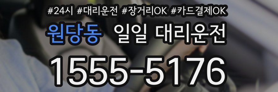 원당동 일일 대리운전